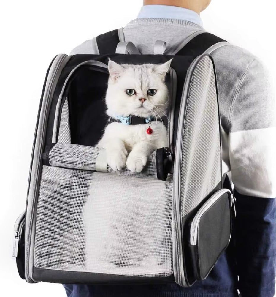 Breathable Foldable Cat and Dog Backpack Carrier