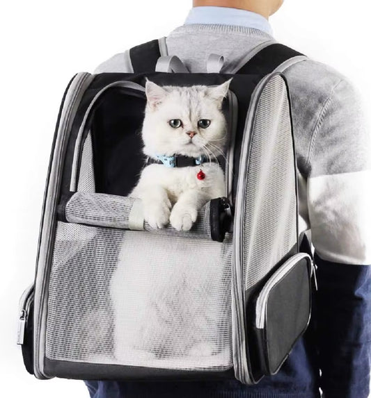 Breathable Foldable Cat and Dog Backpack Carrier