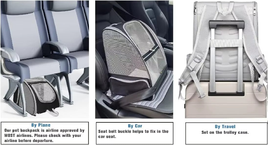Breathable Foldable Cat and Dog Backpack Carrier