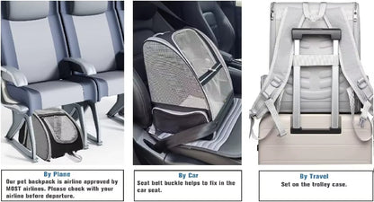 Breathable Foldable Cat and Dog Backpack Carrier