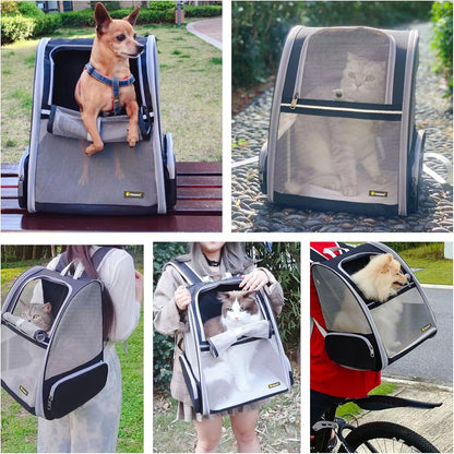 Breathable Foldable Cat and Dog Backpack Carrier